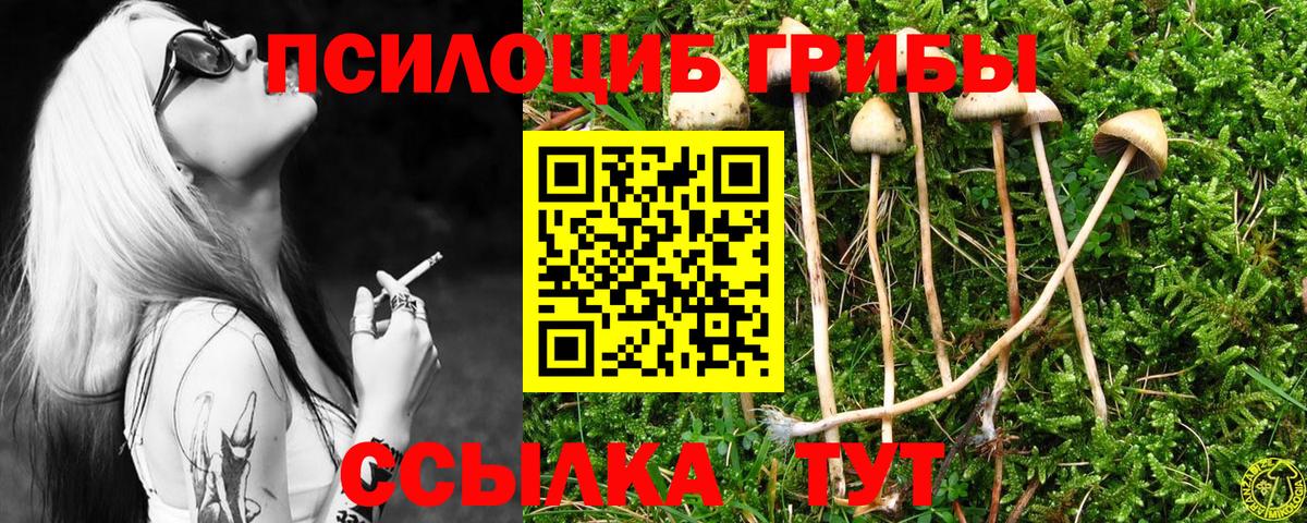 Галлюциногенные грибы мицелий Асбест